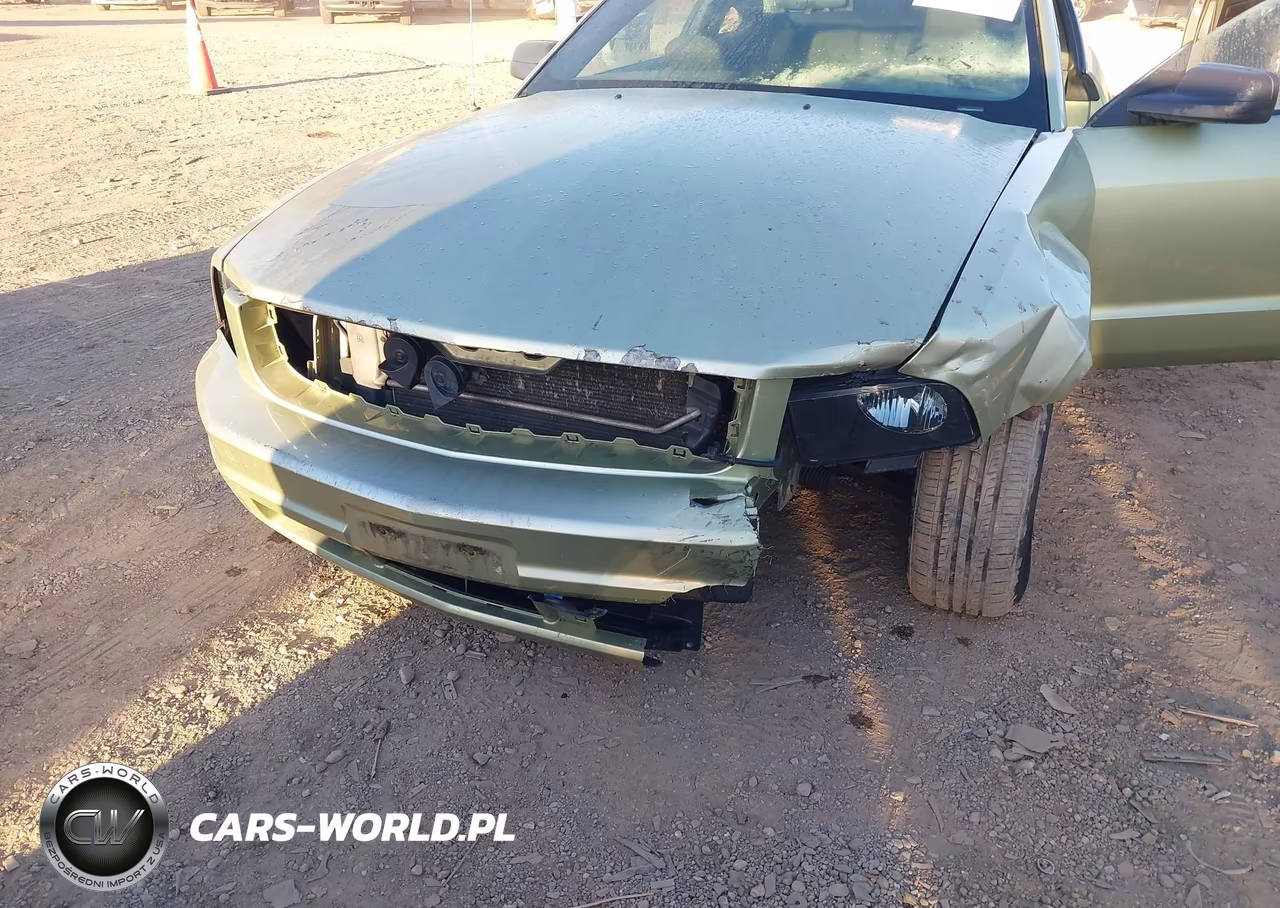 2006 Ford Mustang V6 VIN:1ZVFT80N665240769 - 6