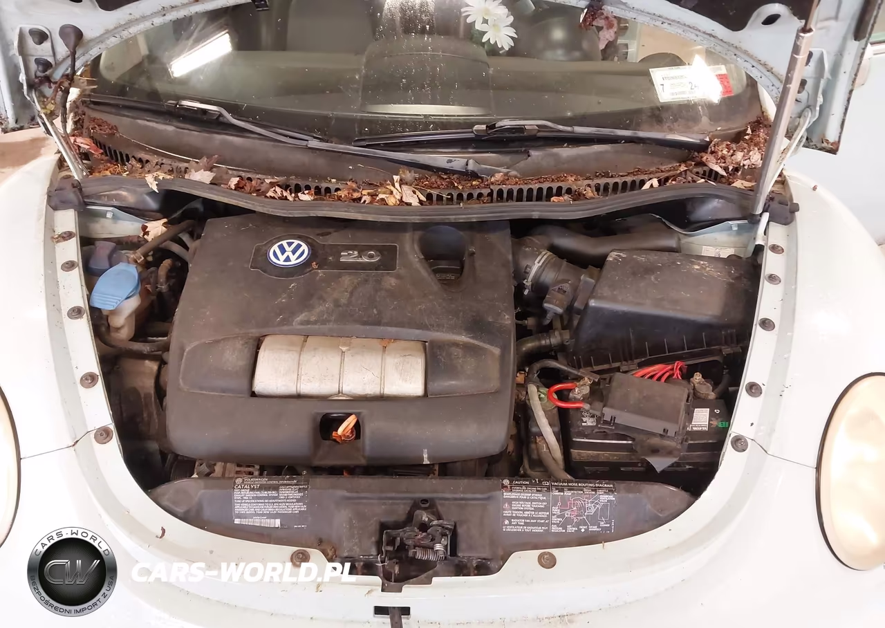 2003 Volkswagen New Beetle Gls VIN:3VWCK21Y23M301214 - 10