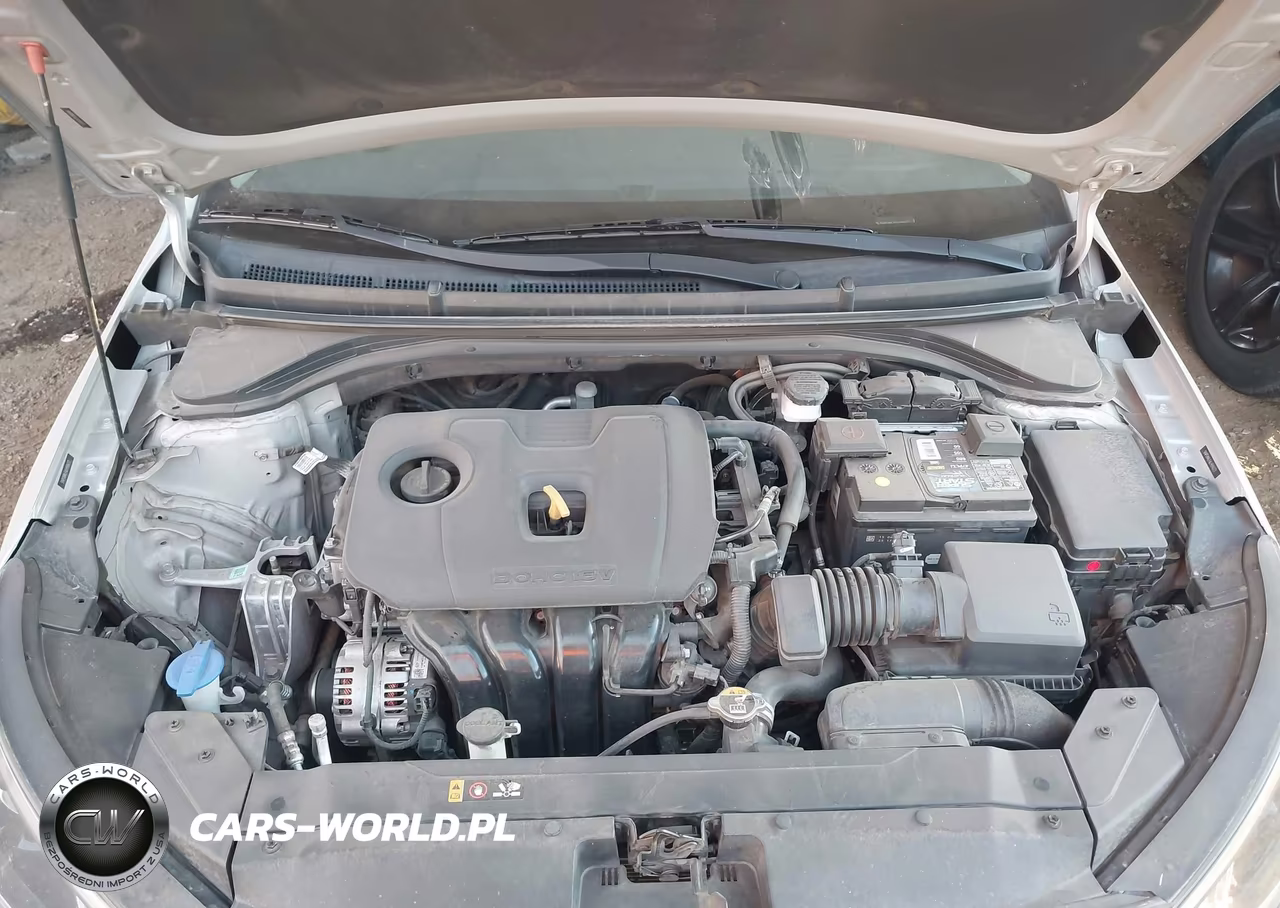 2020 Hyundai Elantra Sel VIN:5NPD84LF6LH596272 - 10