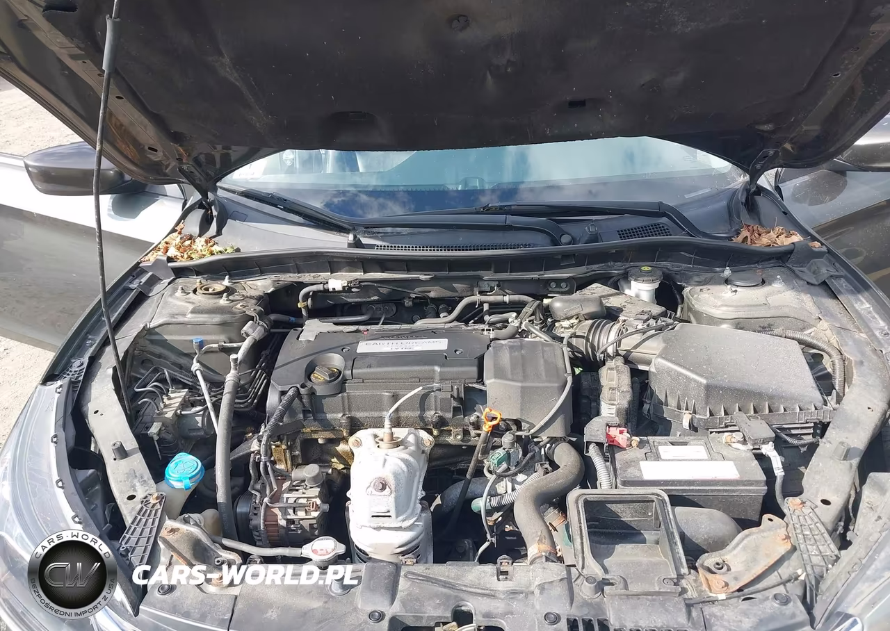 2014 Honda Accord Lx VIN:1HGCR2F31EA166319 - 10