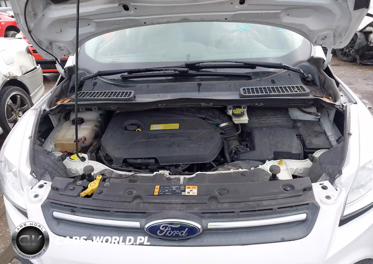 2014 Ford Escape Se VIN:1FMCU0GX6EUB61274 - 10