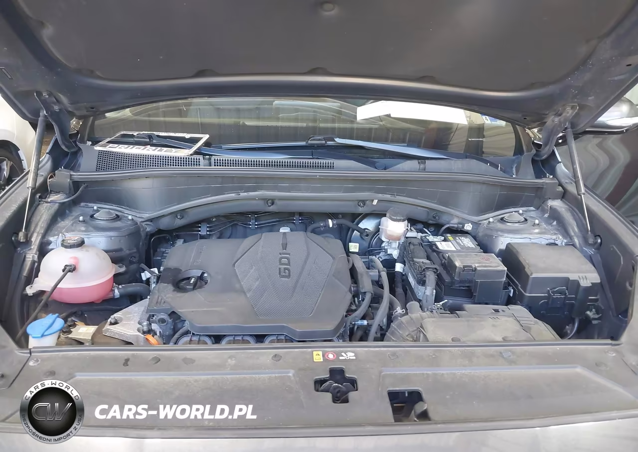 2023 Hyundai Santa Fe Sel VIN:5NMS2DAJ4PH598542 - 10