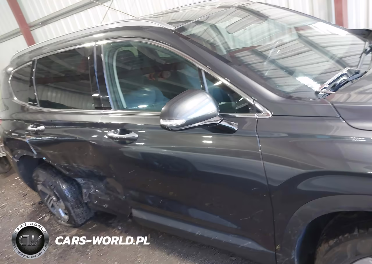 2023 Hyundai Santa Fe Sel VIN:5NMS2DAJ4PH598542 - 13