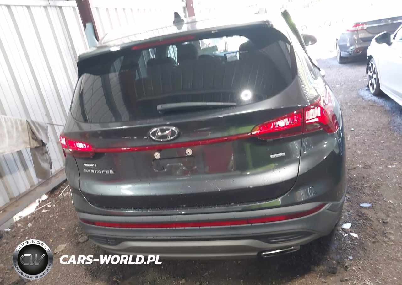 2023 Hyundai Santa Fe Sel VIN:5NMS2DAJ4PH598542 - 16