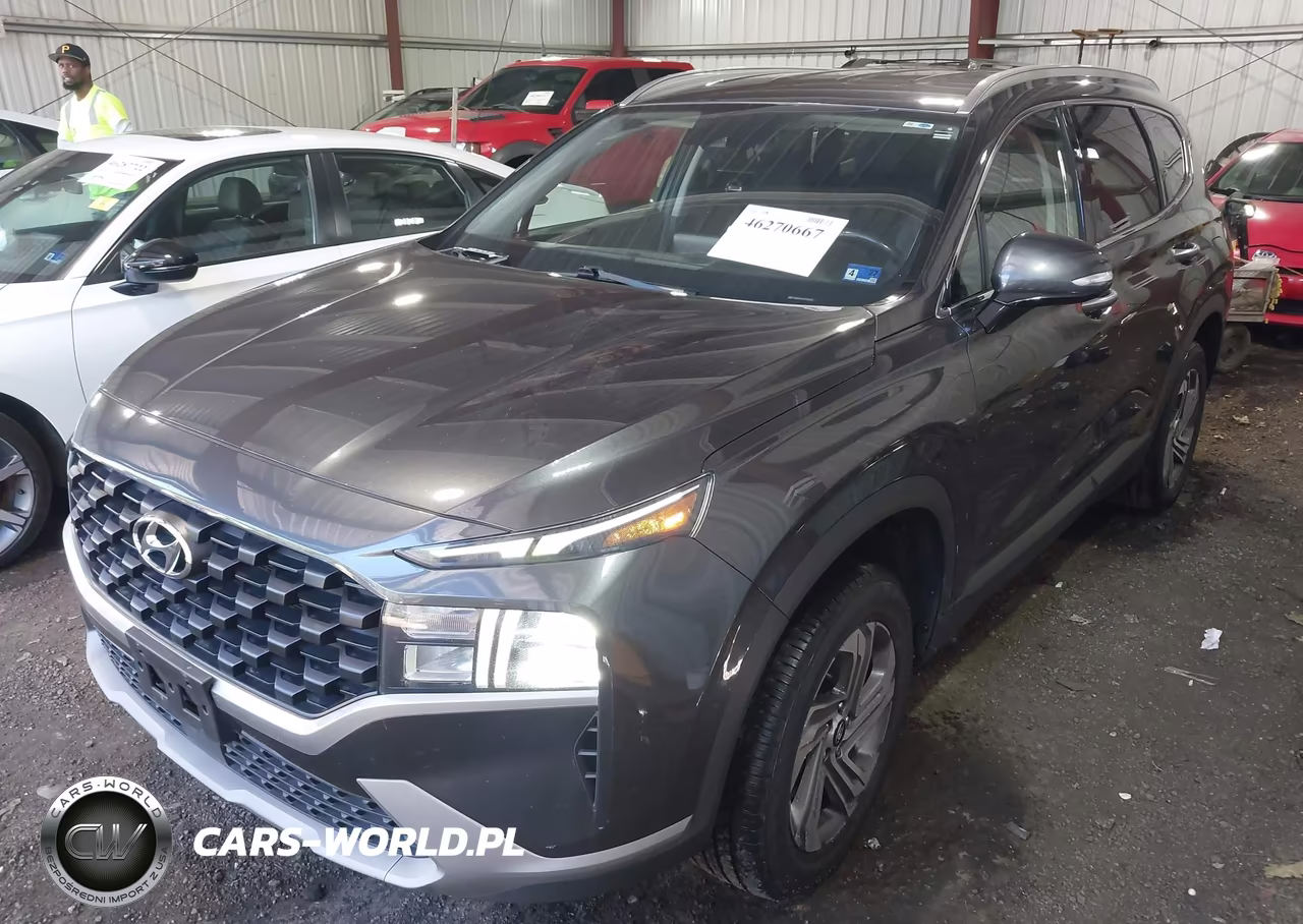 2023 Hyundai Santa Fe Sel VIN:5NMS2DAJ4PH598542 - 2