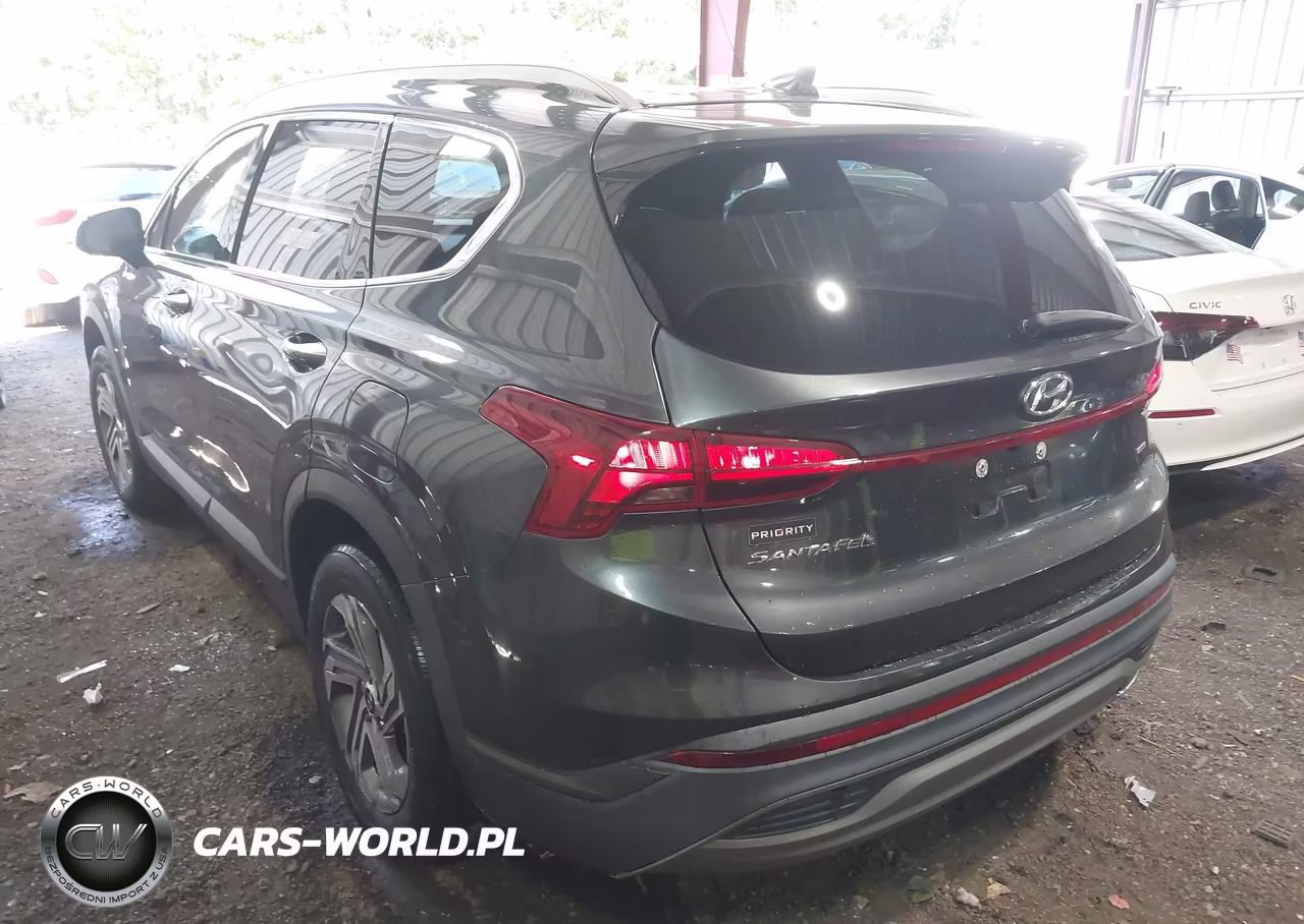 2023 Hyundai Santa Fe Sel VIN:5NMS2DAJ4PH598542 - 3