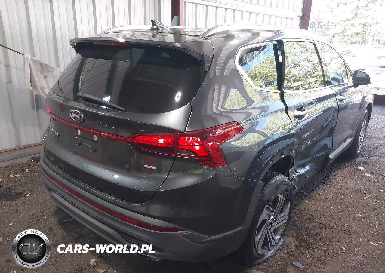 2023 Hyundai Santa Fe Sel VIN:5NMS2DAJ4PH598542 - 4