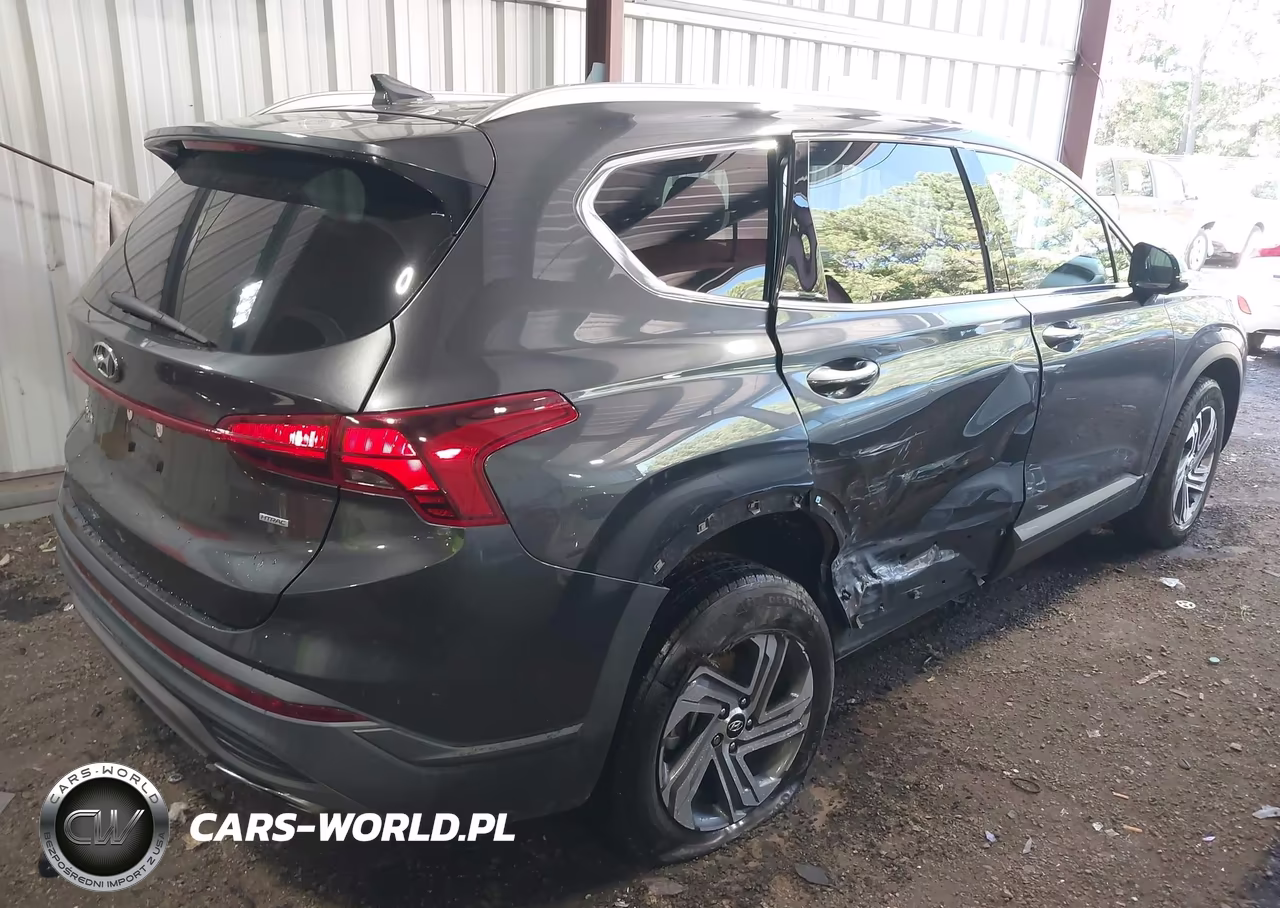 2023 Hyundai Santa Fe Sel VIN:5NMS2DAJ4PH598542 - 6