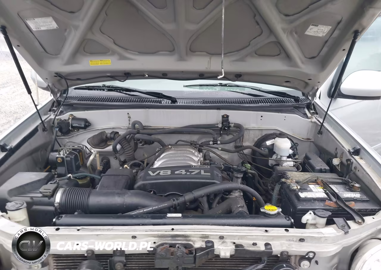 2004 Toyota Sequoia Sr5 V8 VIN:5TDZT34A74S235890 - 10