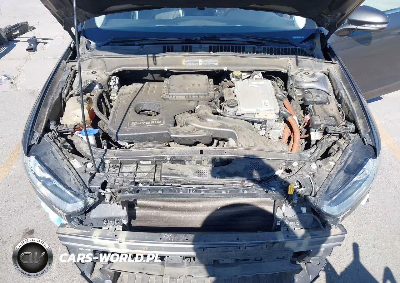 2016 Ford Fusion Hybrid Titanium VIN:3FA6P0RU3GR166377 - 10
