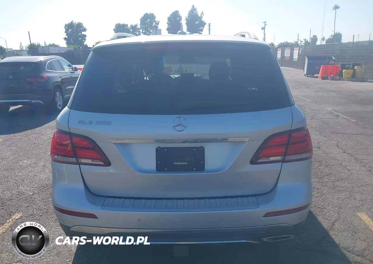 2017 Mercedes-Benz Gle 350 VIN:4JGDA5JB3HA899787 - 17
