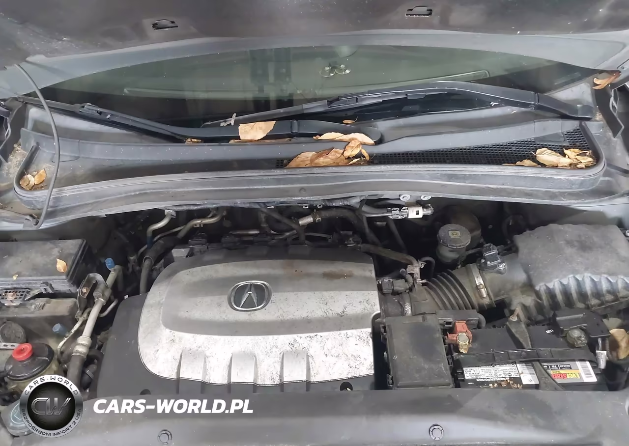 2010 Acura Mdx Technology Package VIN:2HNYD2H48AH515992 - 10
