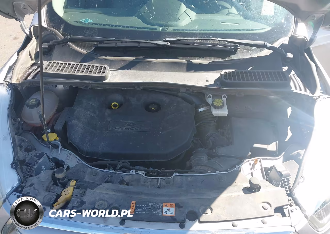 2019 Ford Escape Titanium VIN:1FMCU9J98KUA42314 - 10
