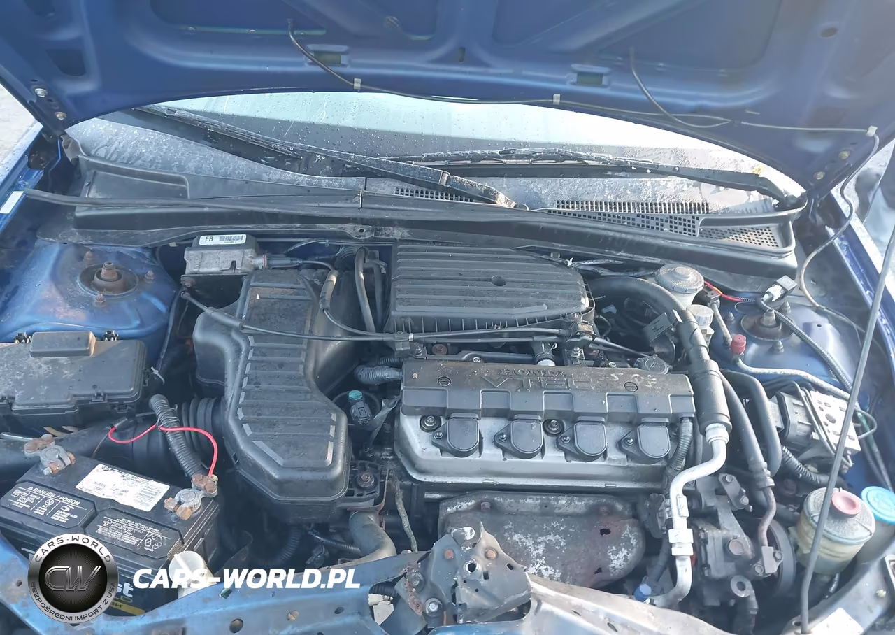 2004 Honda Civic Ex VIN:1HGEM21944L034354 - 10