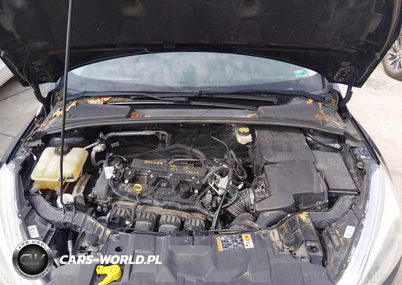 2017 Ford Focus Se VIN:1FADP3F28HL314079 - 10