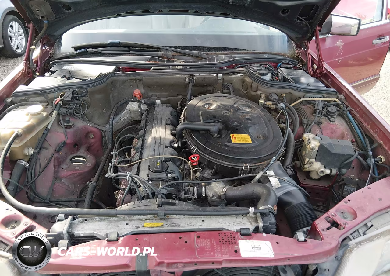 1990 Mercedes-Benz 300 Se VIN:WDBCA24D9LA524991 - 10