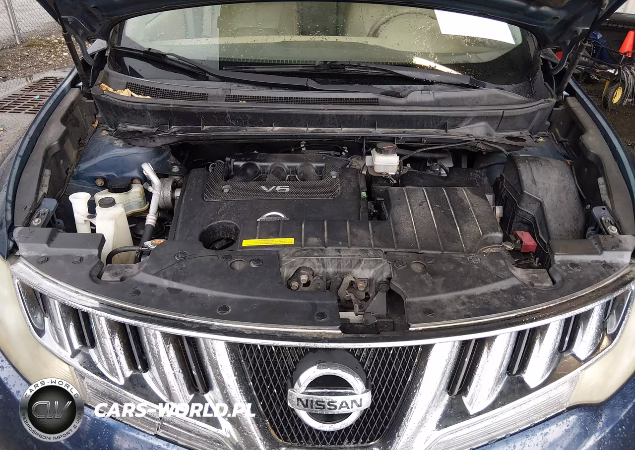 2010 Nissan Murano Sl VIN:JN8AZ1MW1AW102375 - 10