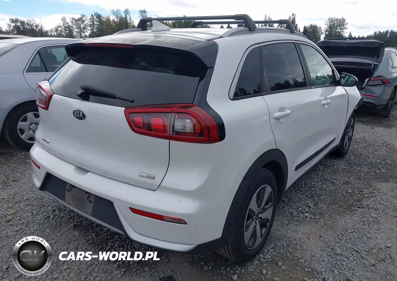 2017 Kia Niro Lx VIN:KNDCB3LCXH5084339 - 4
