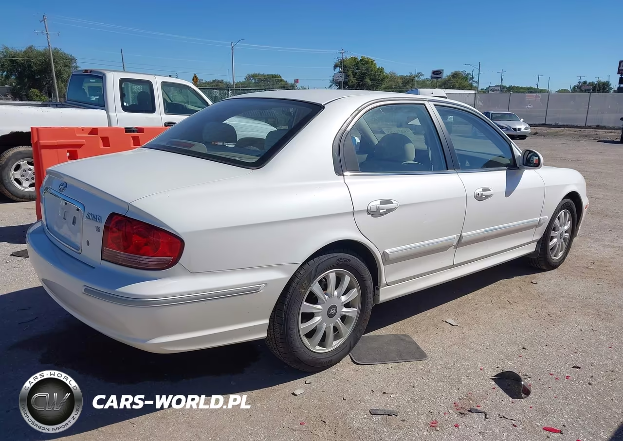 2004 Hyundai Sonata Gls-Lx VIN:KMHWF35H74A073421 - 4
