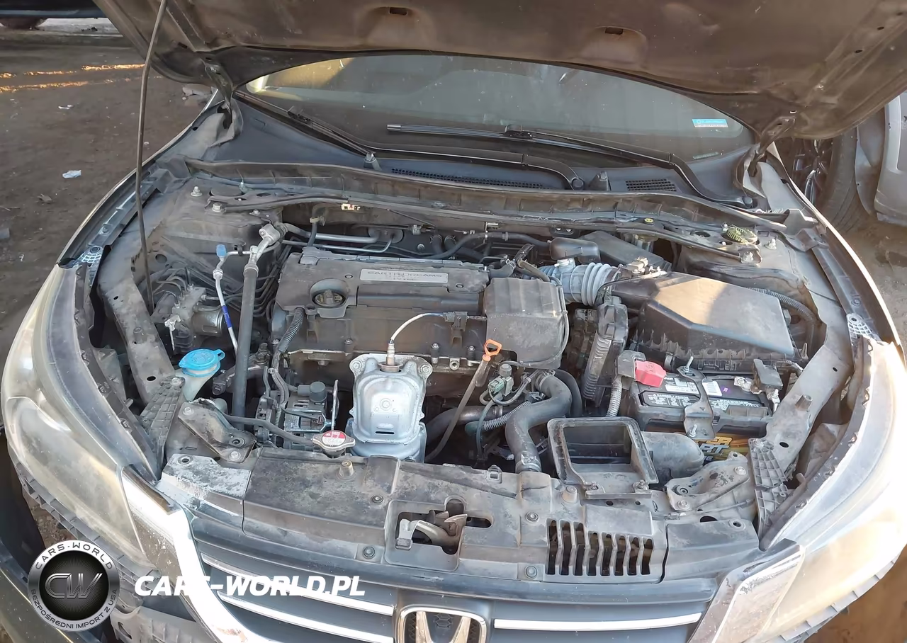 2014 Honda Accord Ex-L VIN:1HGCR2F82EA059176 - 10