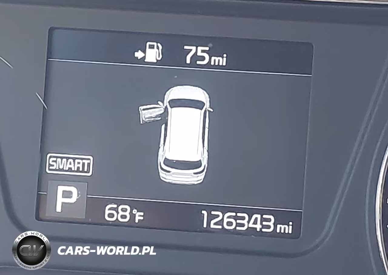2019 Kia Sorento 2.4L Lx VIN:5XYPG4A37KG474664 - 15