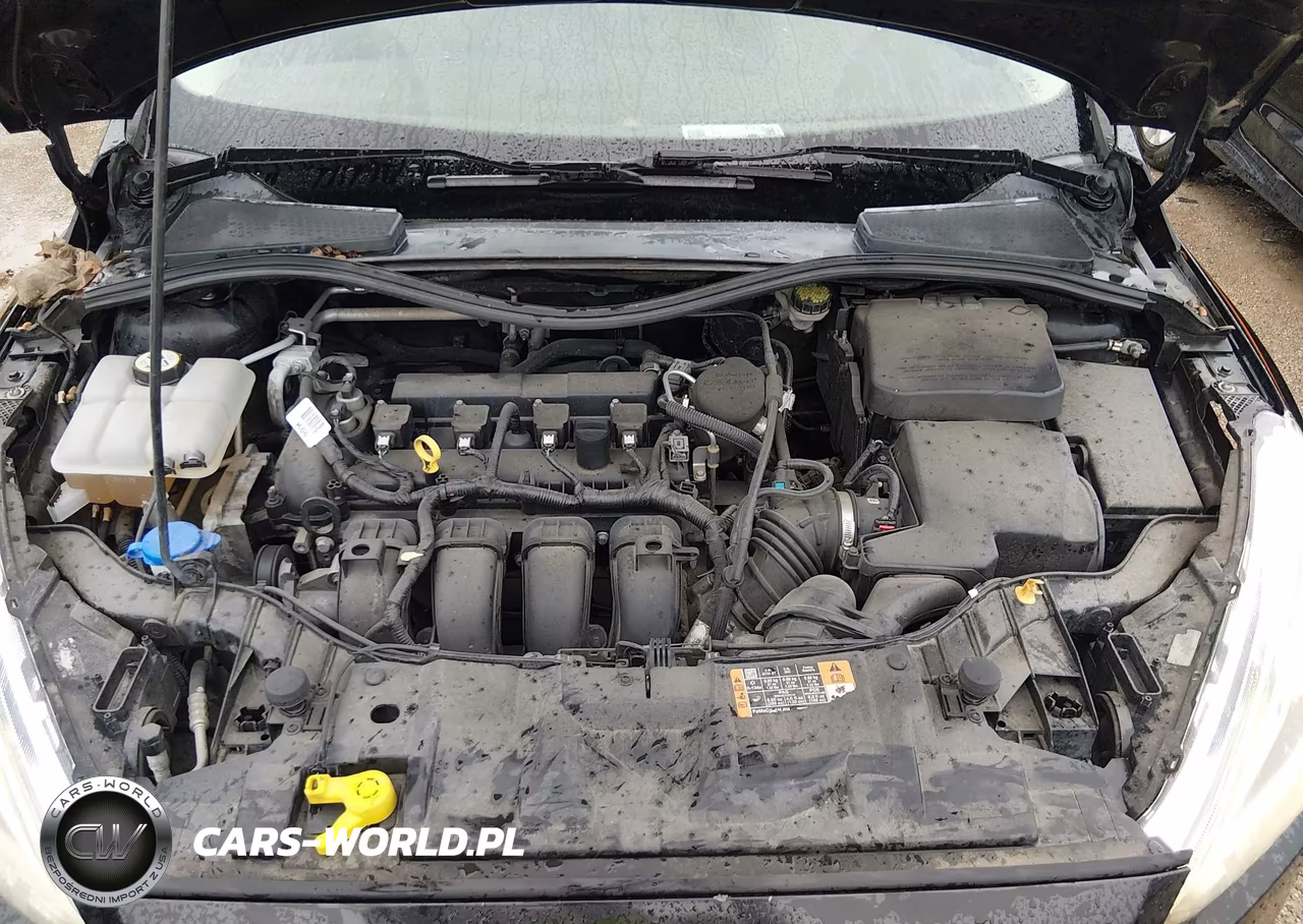 2015 Ford Focus Titanium VIN:1FADP3N24FL378263 - 10