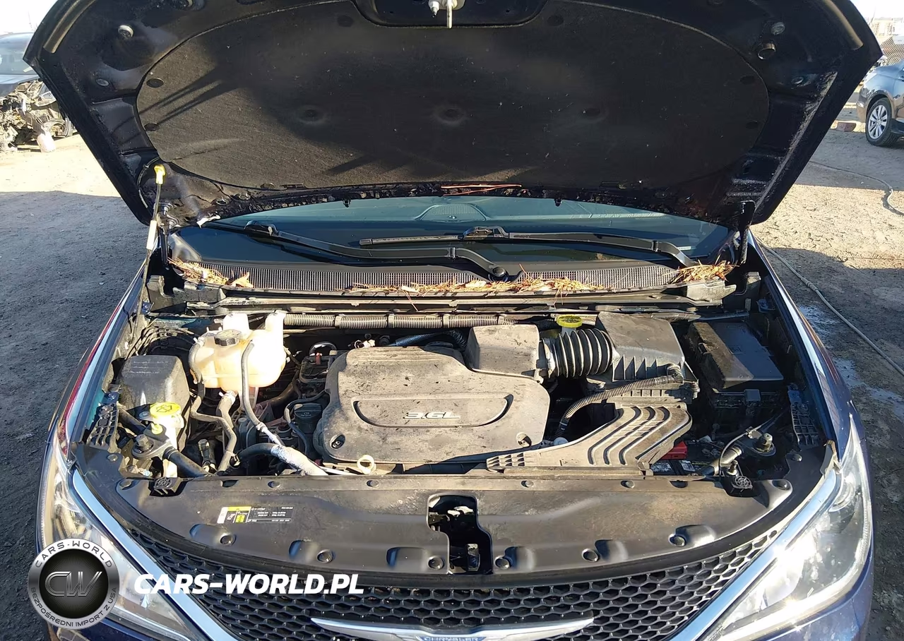 2018 Chrysler Pacifica Touring Plus VIN:2C4RC1FG5JR128721 - 10