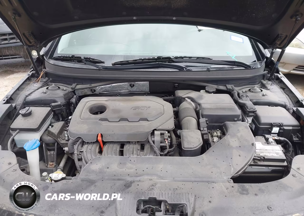 2015 Hyundai Sonata Sport VIN:5NPE34AF5FH081869 - 10