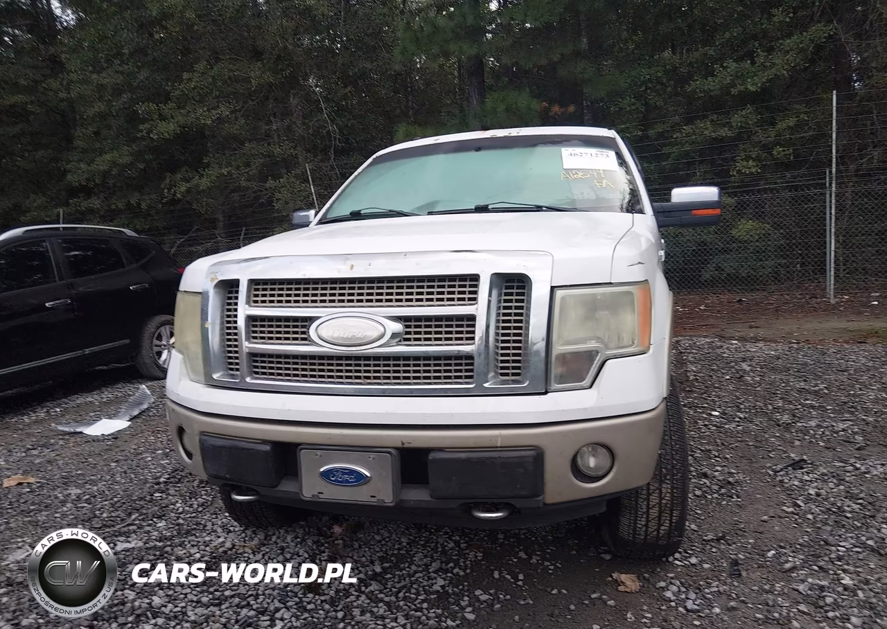 2009 Ford F-150 Fx4-King Ranch-Lariat-Platinum-Xl-Xlt VIN:1FTPW14V59FA12549 - 11