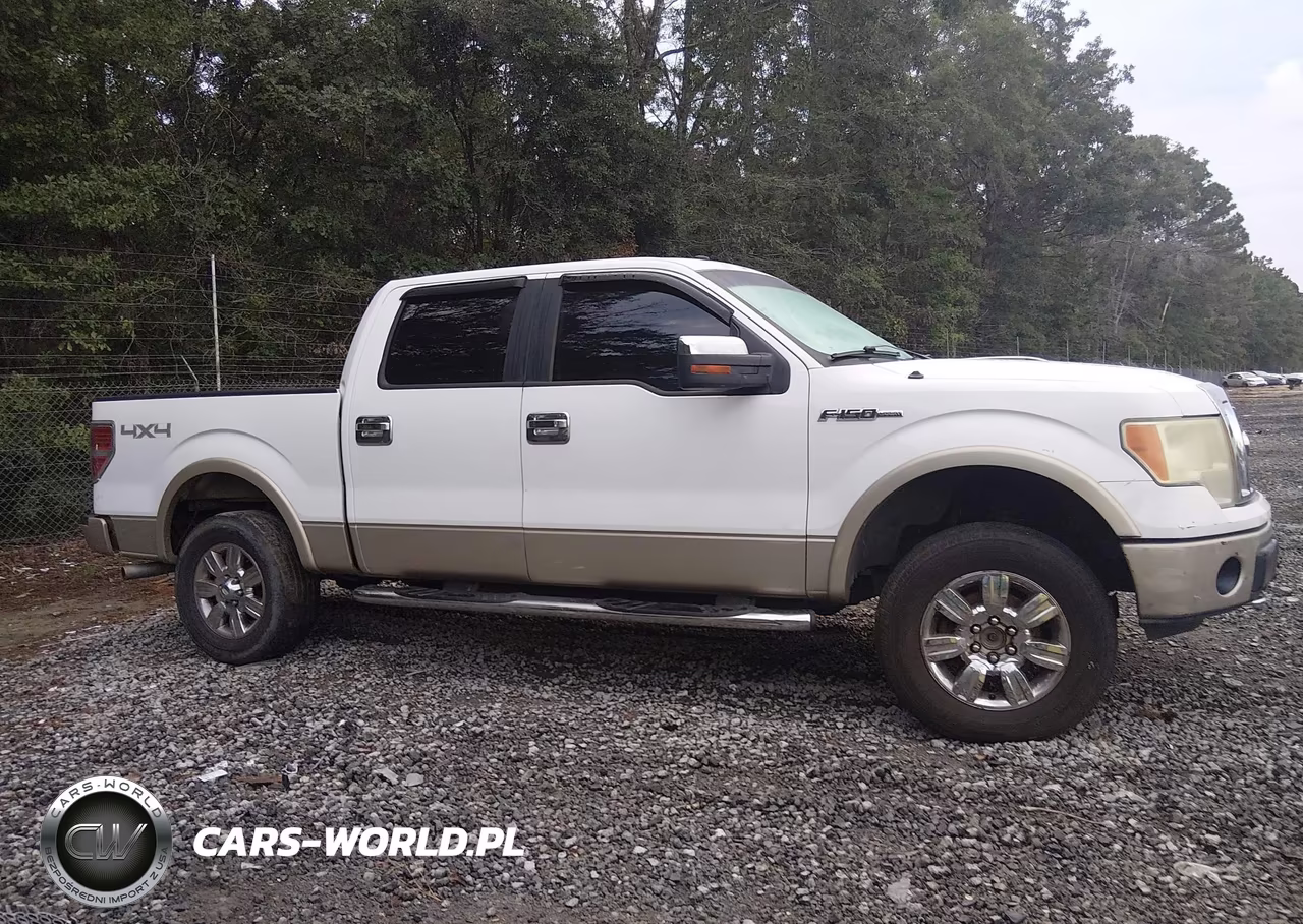 2009 Ford F-150 Fx4-King Ranch-Lariat-Platinum-Xl-Xlt VIN:1FTPW14V59FA12549 - 12