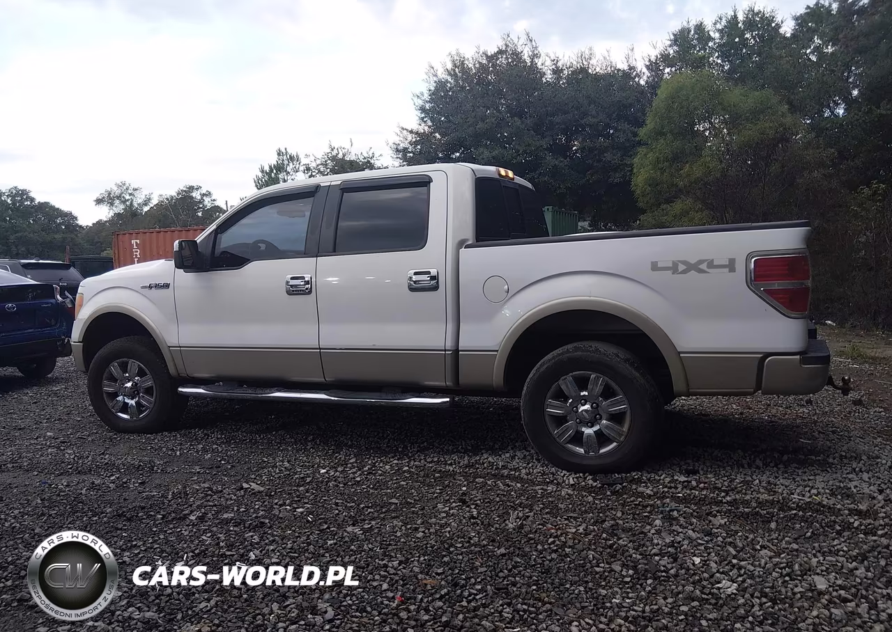2009 Ford F-150 Fx4-King Ranch-Lariat-Platinum-Xl-Xlt VIN:1FTPW14V59FA12549 - 13