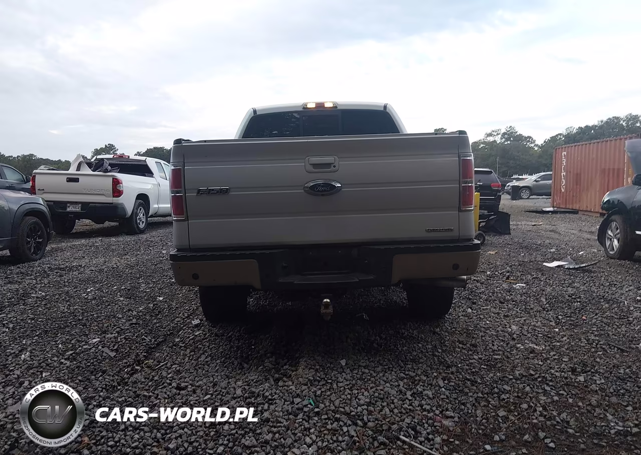 2009 Ford F-150 Fx4-King Ranch-Lariat-Platinum-Xl-Xlt VIN:1FTPW14V59FA12549 - 15