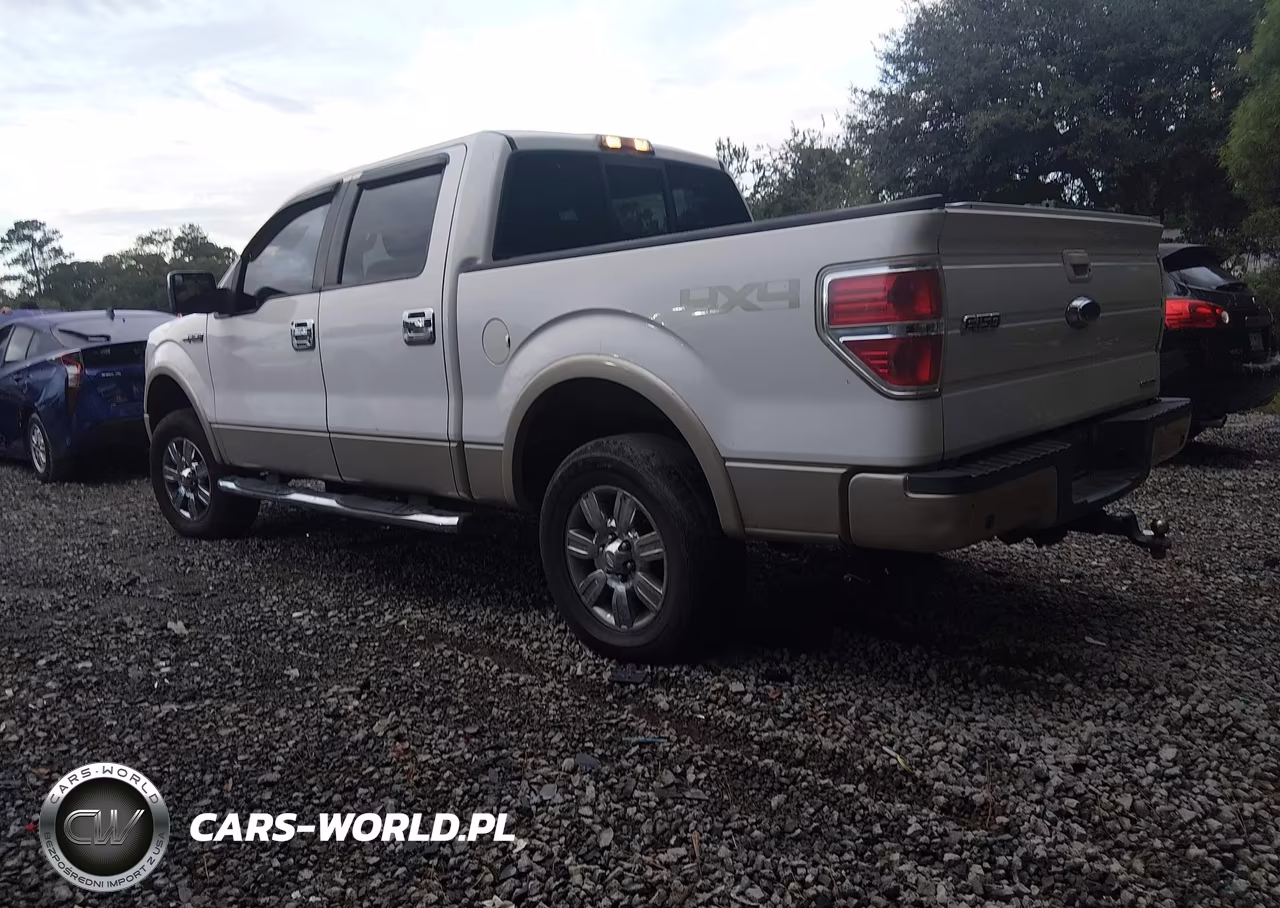 2009 Ford F-150 Fx4-King Ranch-Lariat-Platinum-Xl-Xlt VIN:1FTPW14V59FA12549 - 3