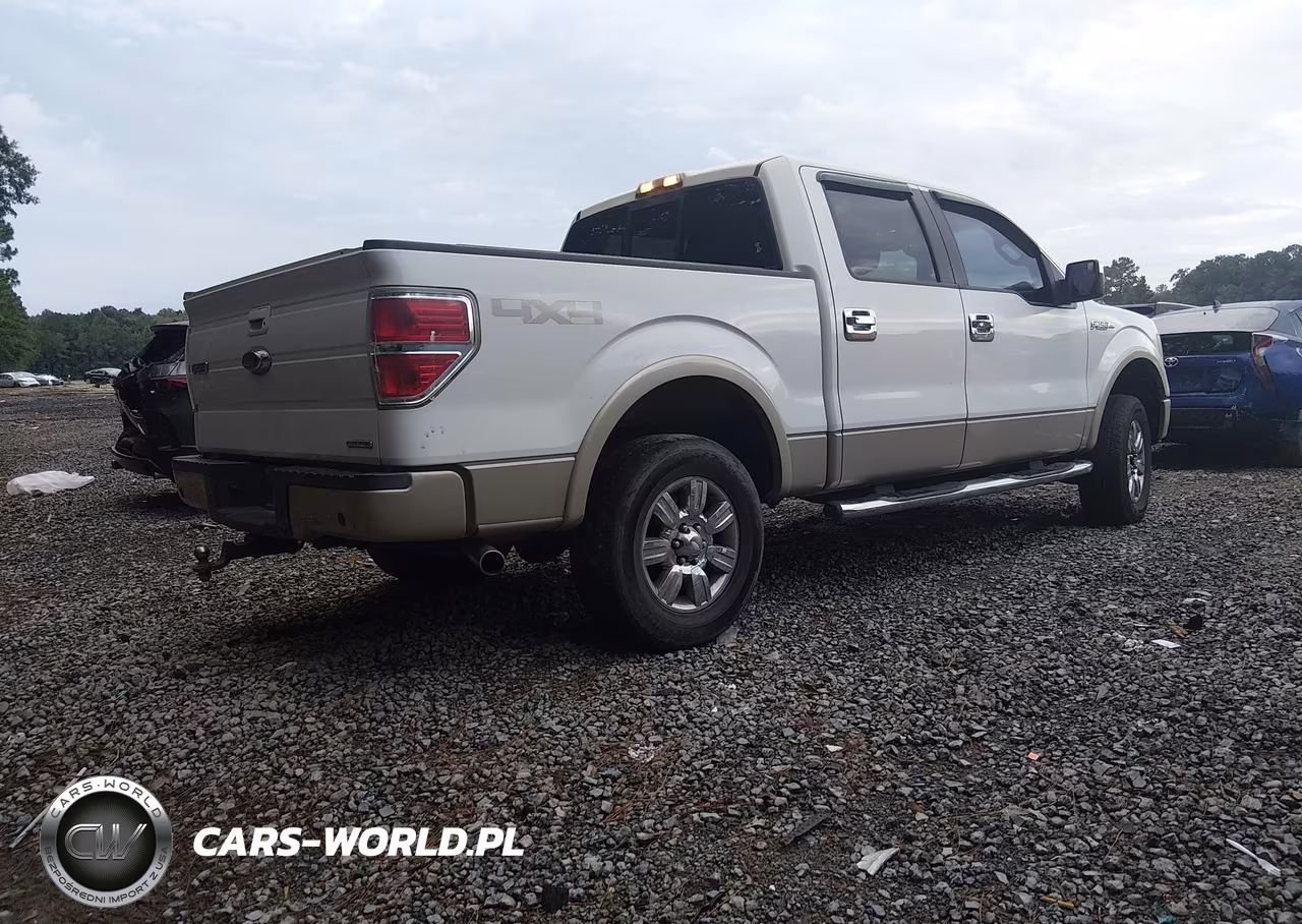 2009 Ford F-150 Fx4-King Ranch-Lariat-Platinum-Xl-Xlt VIN:1FTPW14V59FA12549 - 4