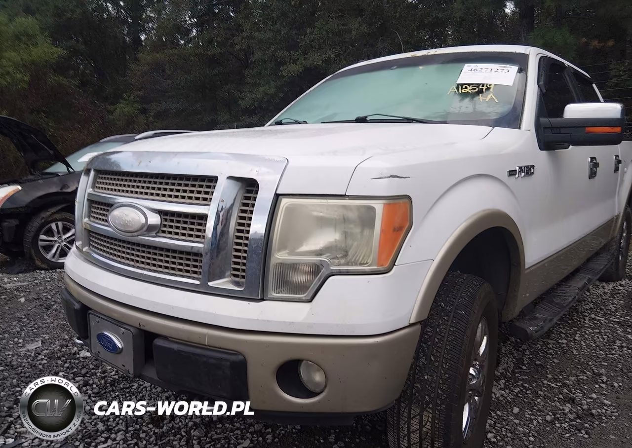 2009 Ford F-150 Fx4-King Ranch-Lariat-Platinum-Xl-Xlt VIN:1FTPW14V59FA12549 - 6