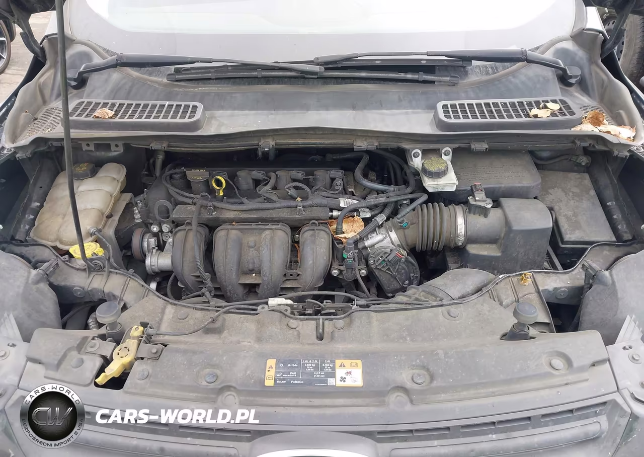 2015 Ford Escape S VIN:1FMCU0F75FUA36365 - 10