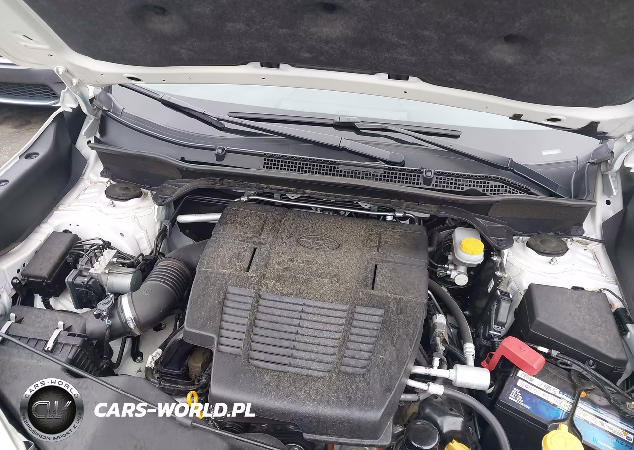 2019 Subaru Forester Limited VIN:JF2SKAUC7KH515922 - 10