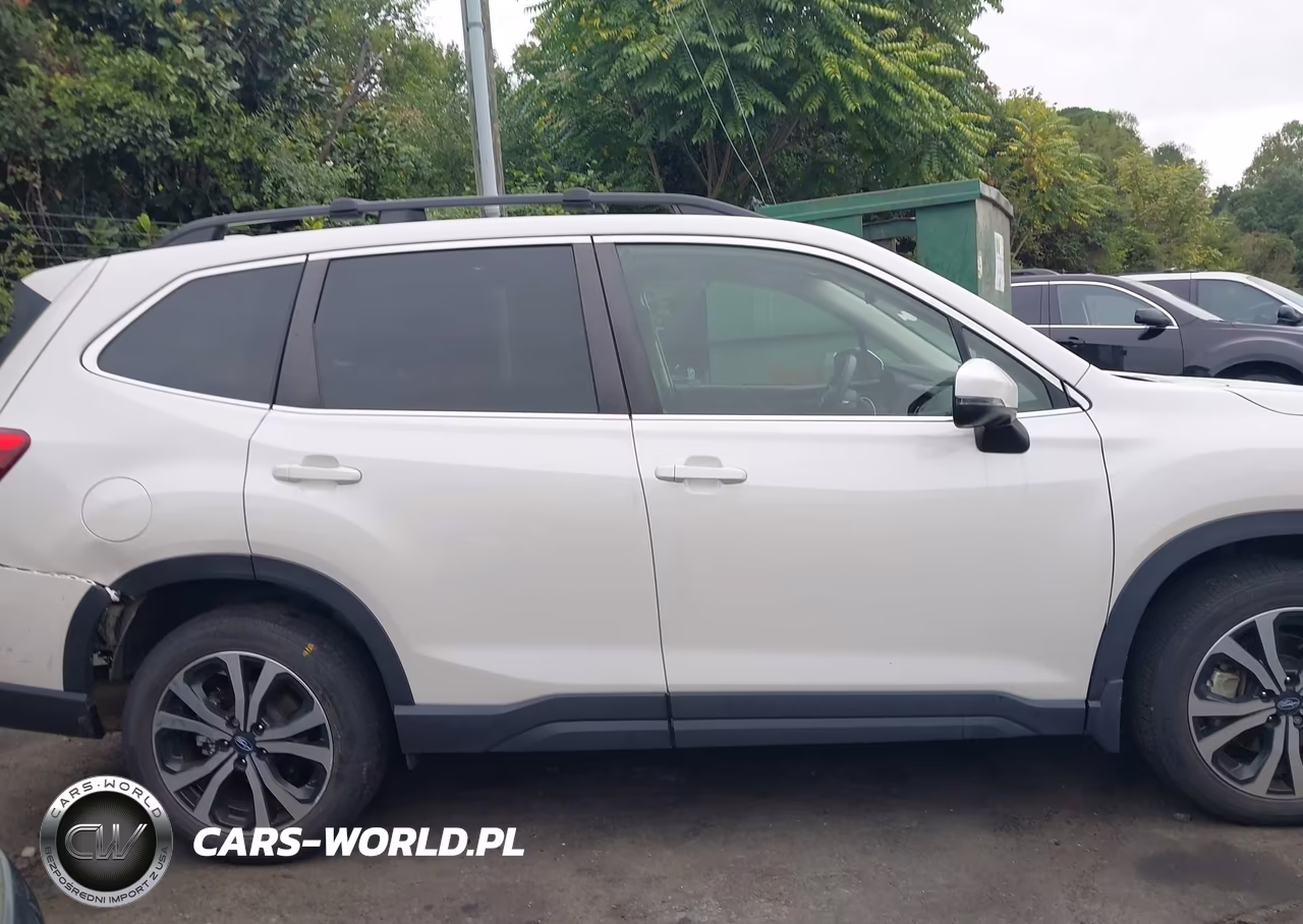 2019 Subaru Forester Limited VIN:JF2SKAUC7KH515922 - 13