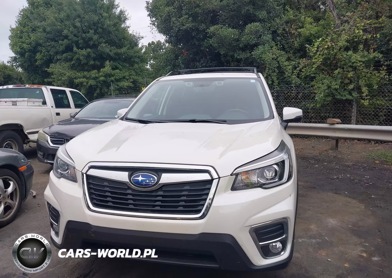 2019 Subaru Forester Limited VIN:JF2SKAUC7KH515922 - 6