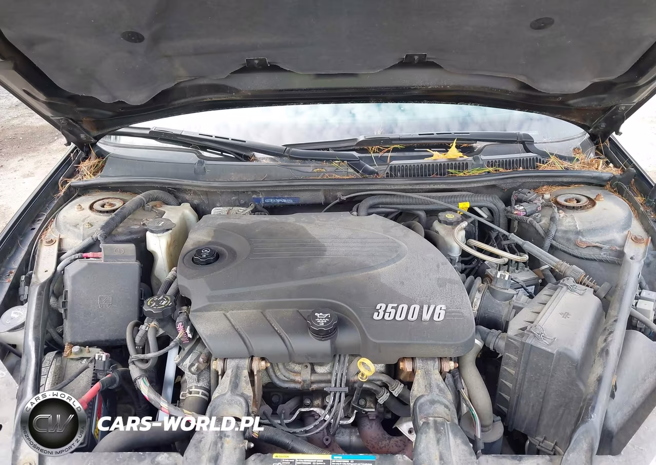 2009 Chevrolet Impala Lt VIN:2G1WT57N091306724 - 10