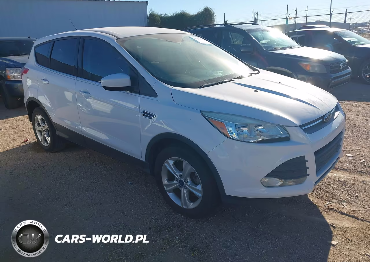 2014 Ford Escape Se VIN:1FMCU0GX0EUD72647 - 1