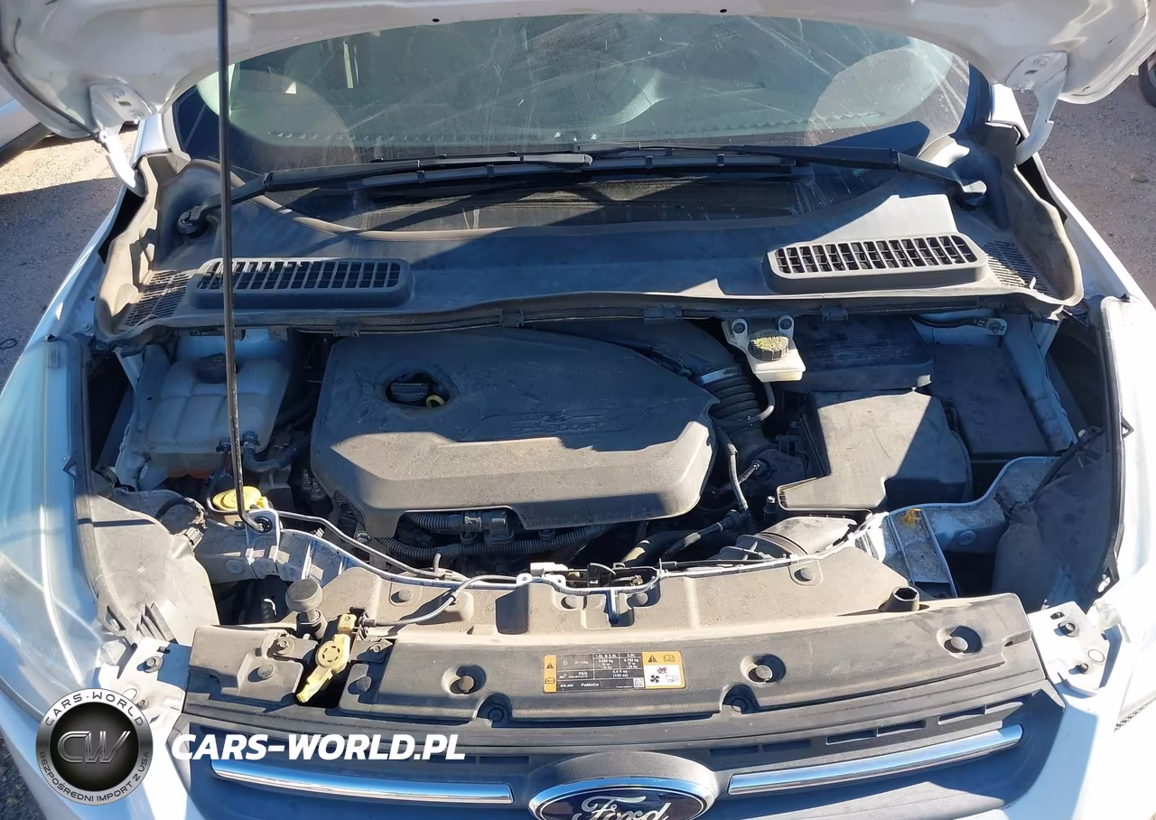 2014 Ford Escape Se VIN:1FMCU0GX0EUD72647 - 10