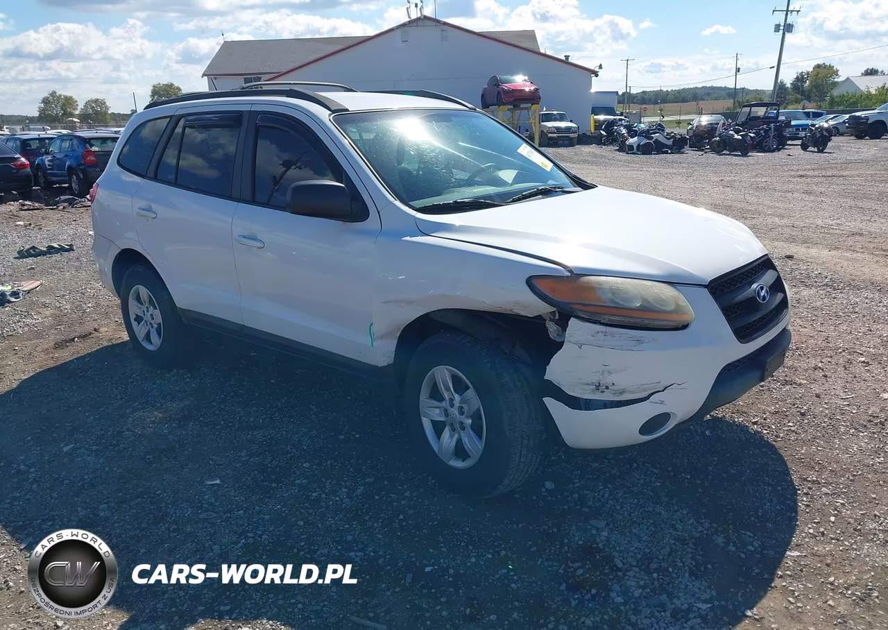 2009 Hyundai Santa Fe Gls