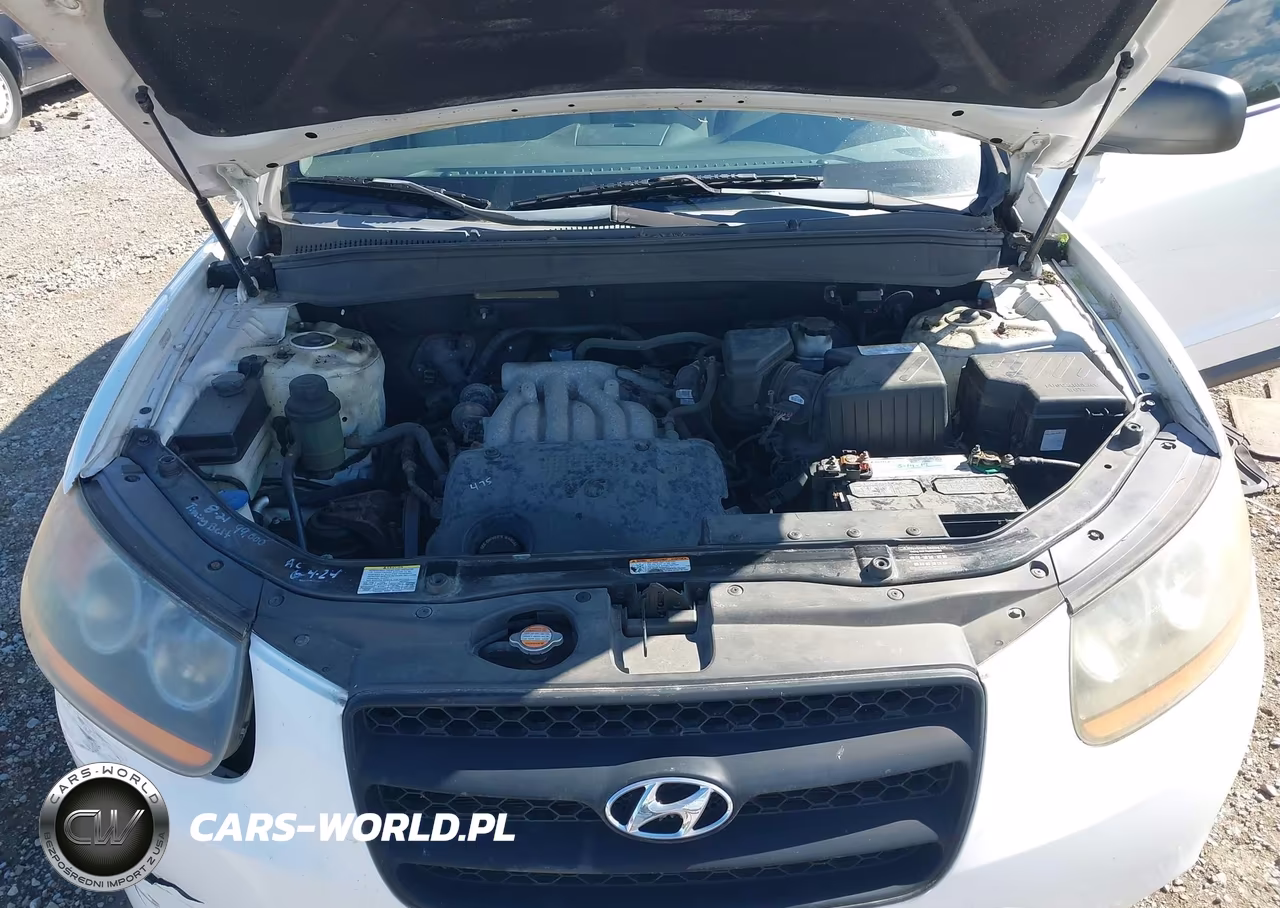 2009 Hyundai Santa Fe Gls VIN:5NMSG73D39H247201 - 10