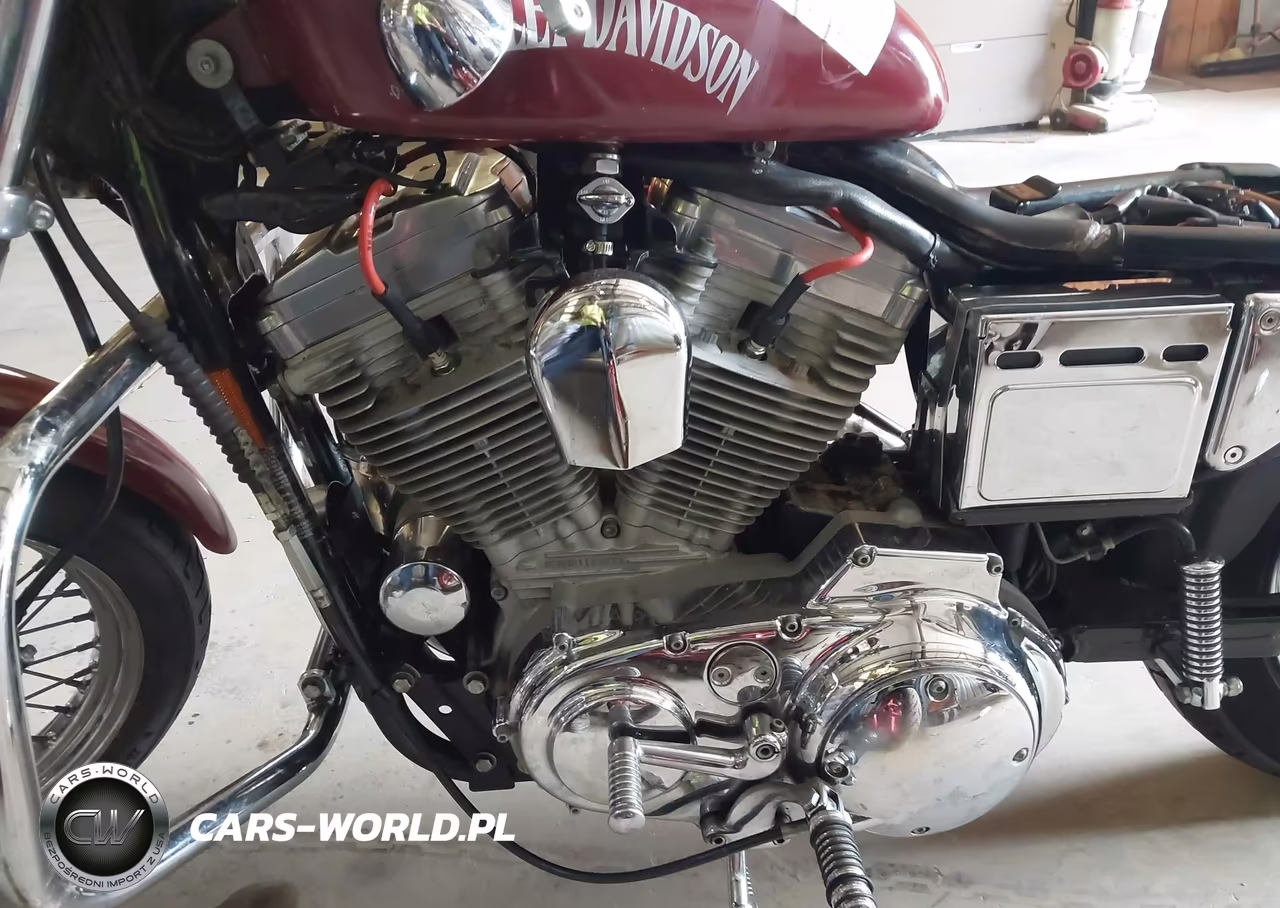 1999 Harley-Davidson Xl883 VIN:1HD4CAM16XK114423 - 9