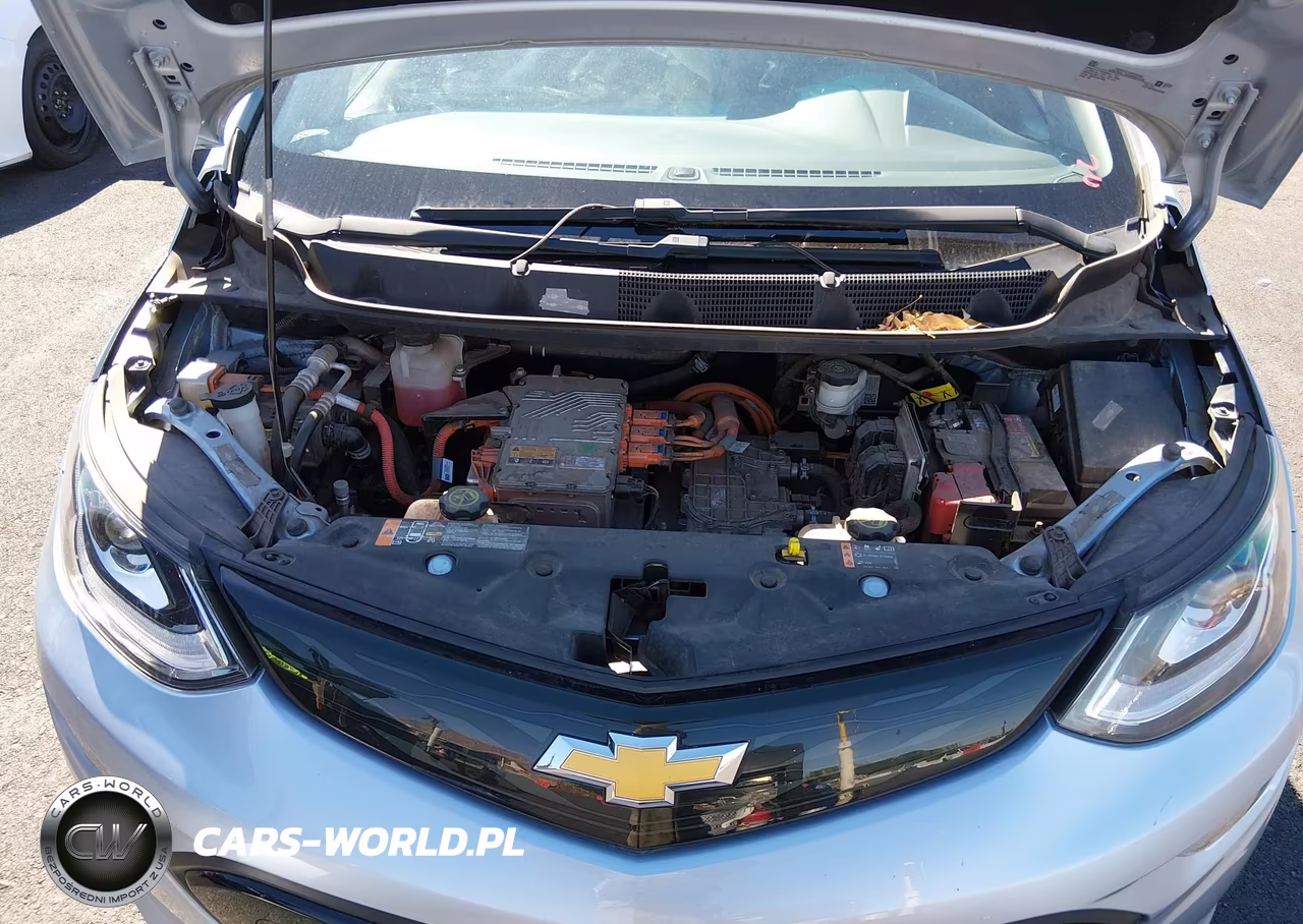 2017 Chevrolet Bolt Ev Lt VIN:1G1FW6S04H4166866 - 10
