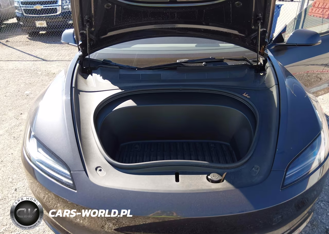 2025 Tesla Model 3 Long Range All-Wheel Drive VIN:5YJ3E1EB6SF924798 - 10