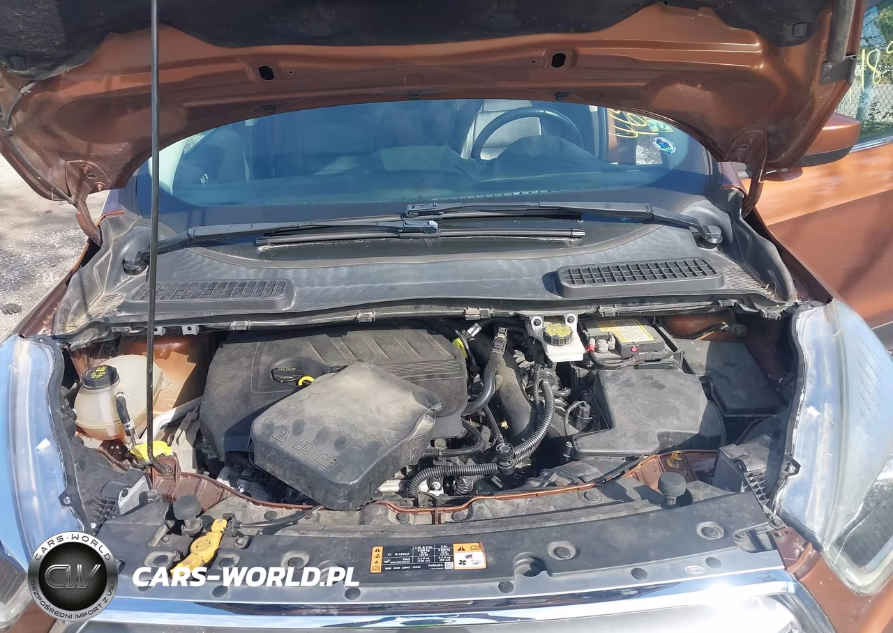 2017 Ford Escape Se VIN:1FMCU0GD1HUA54479 - 10