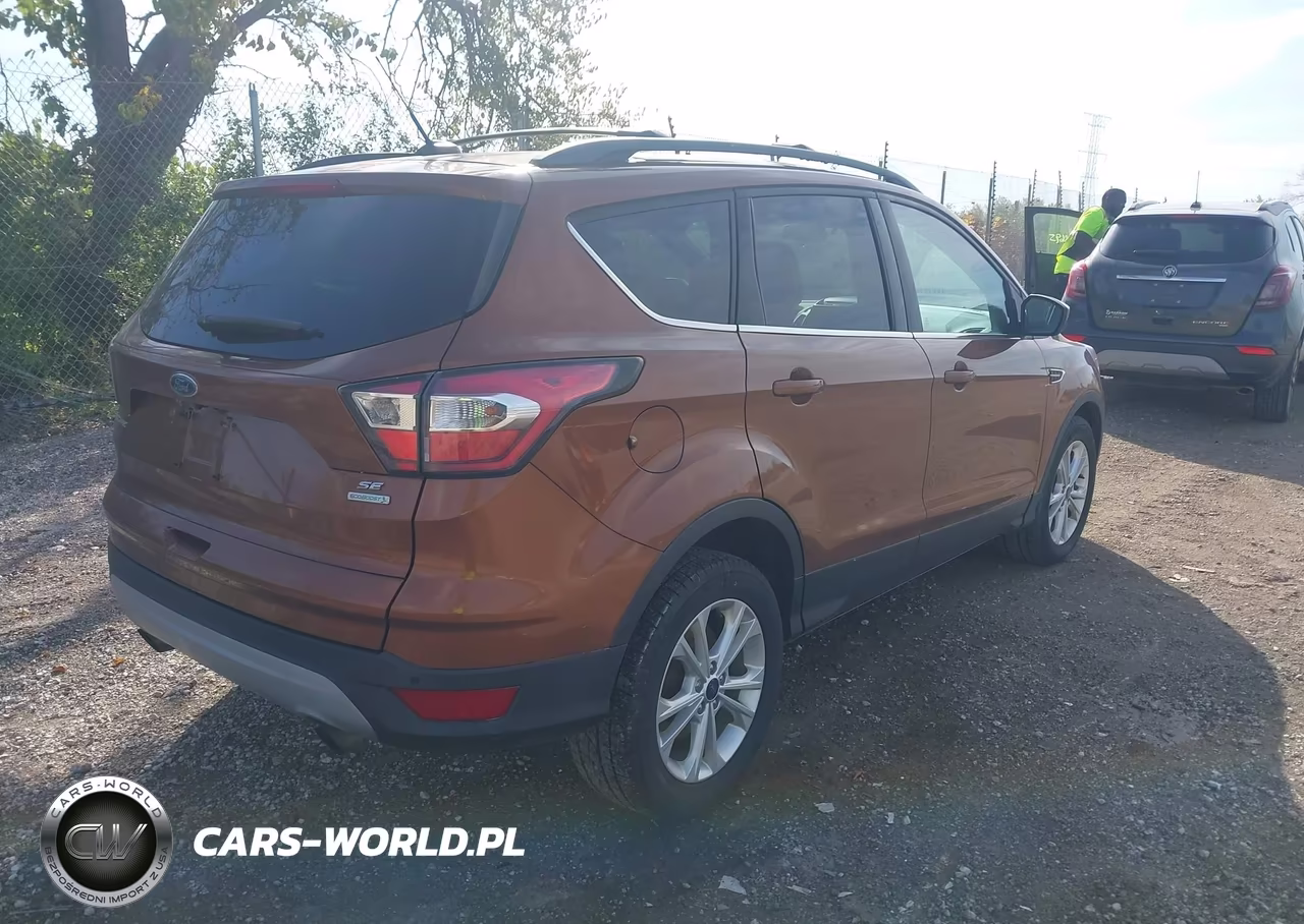 2017 Ford Escape Se VIN:1FMCU0GD1HUA54479 - 4