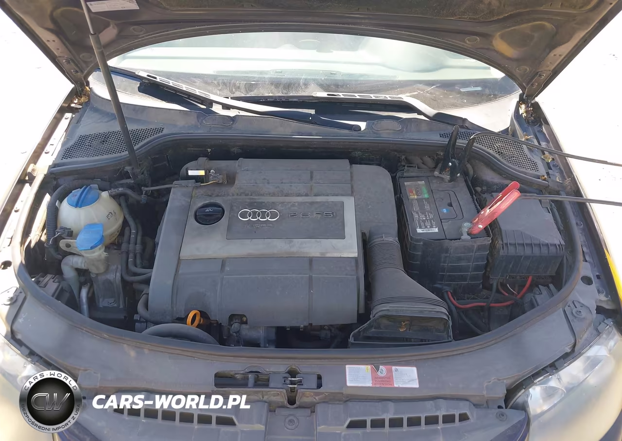 2006 Audi A3 2.0T VIN:WAUNF78P76A094327 - 10